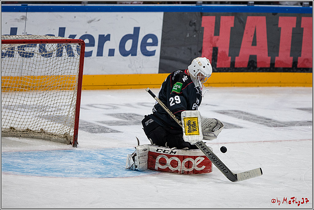DEL, Koelner Haie - Augsburger Panther, 13.01.2017